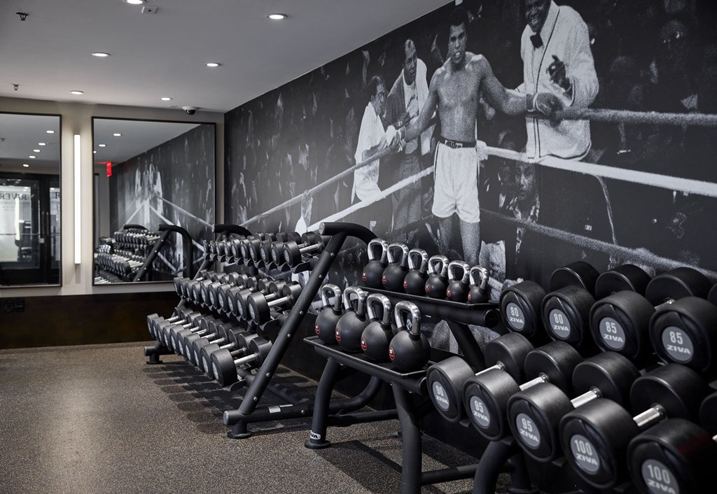 a wall of dumbbells in a gym with a mural of two men on