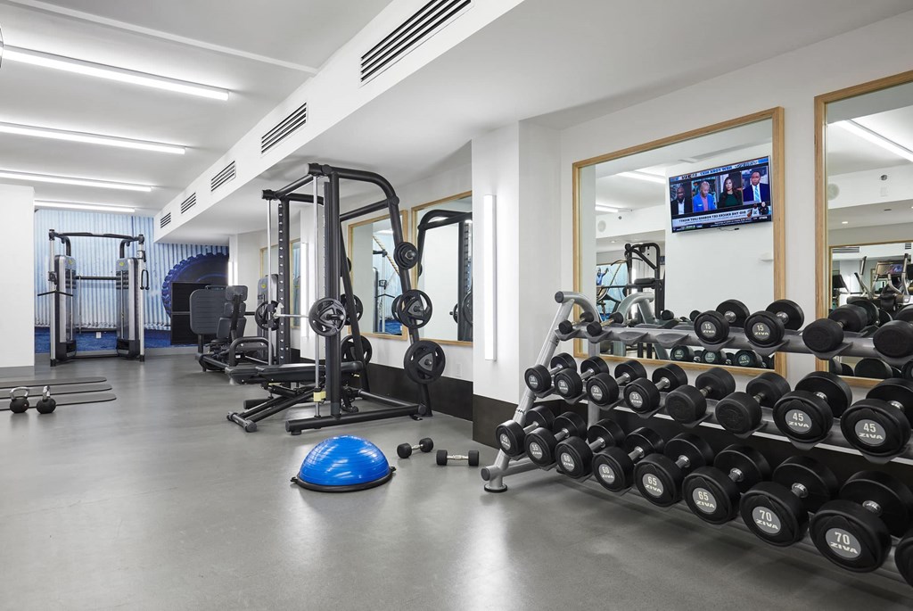 the gym is stocked with weights and cardio equipment