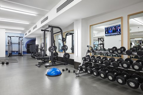 the gym is stocked with weights and cardio equipment