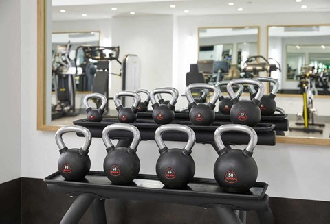 a rack of dumbbells in a gym