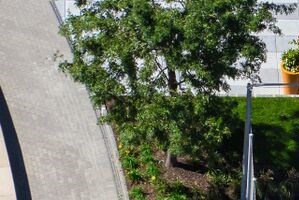 50 Christopher Columbus Drive Studio-3 Beds Apartment for Rent - Photo Gallery 5