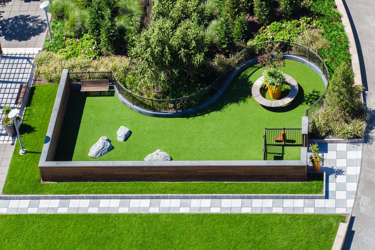 a garden with a lawn and a pool
