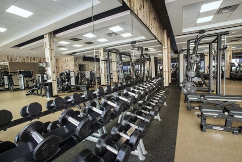the gym is equipped with weights and cardio equipment