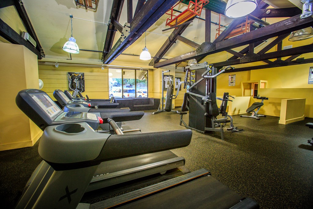 a gym with treadmills and weights in a workout room
