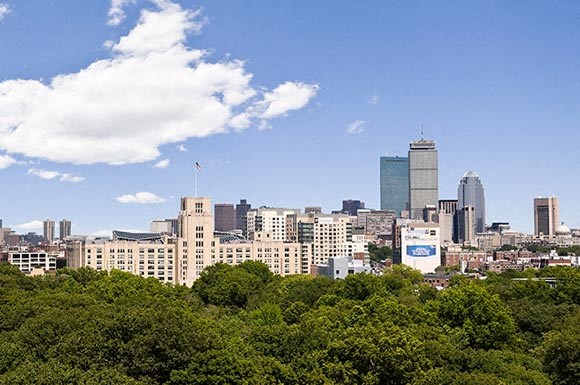 a view of a city with trees and buildings