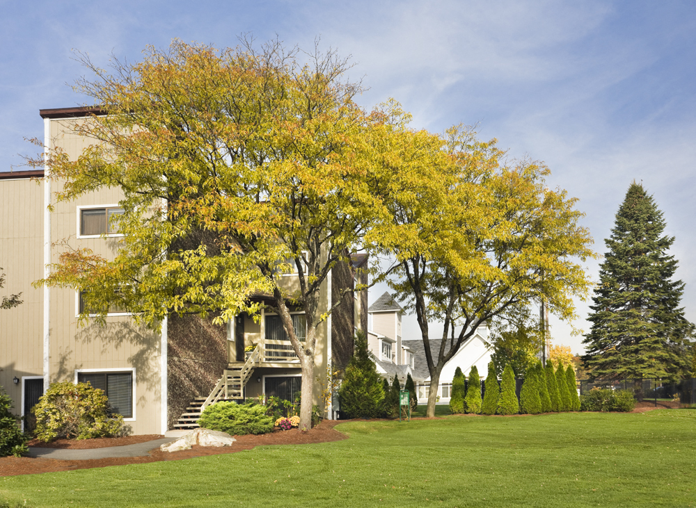 the view of a building with trees in front of it