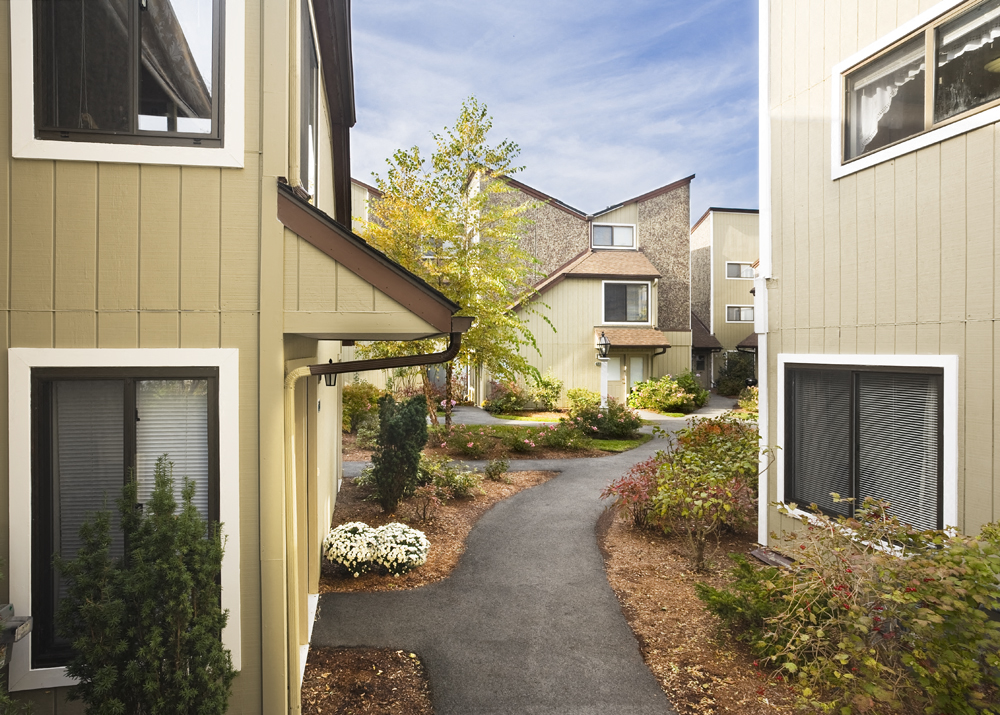 a walkway between two houses with a garden between them