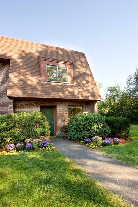 a house with a driveway and flowers in front of it