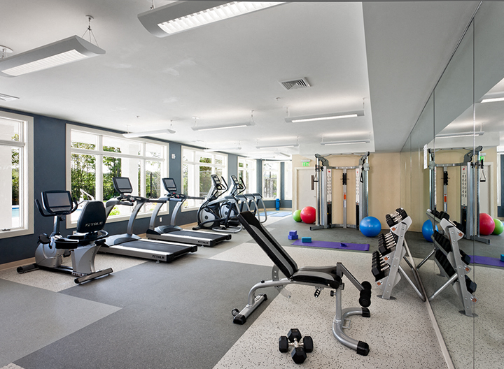 a gym with cardio equipment and weights on the floor