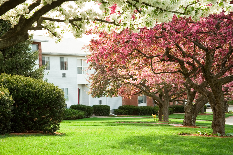 Ridgecrest Village:  The Terrace