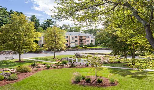 a park with trees and a building in the background