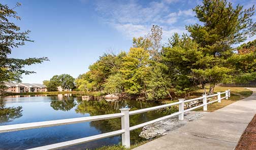 a lake with a white fence and trees