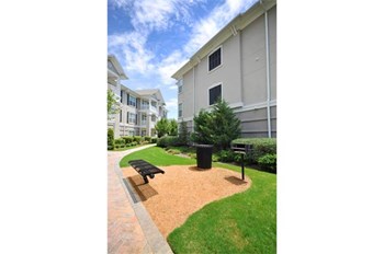 505 E. Exchange Parkway 1-3 Beds Apartment for Rent - Photo Gallery 4