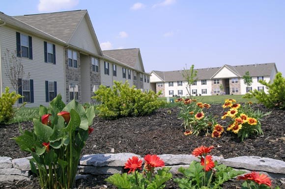 a garden with flowers in front of some houses