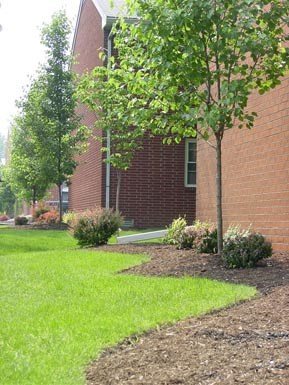 71 Rossway - Office 1-2 Beds Apartment for Rent - Photo Gallery 2
