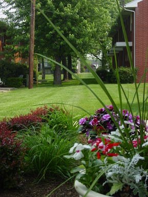 71 Rossway - Office 1-2 Beds Apartment for Rent - Photo Gallery 3
