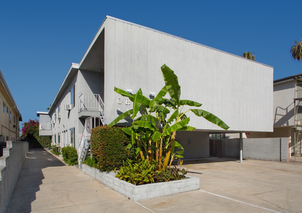 a white building with a banana tree in front of it