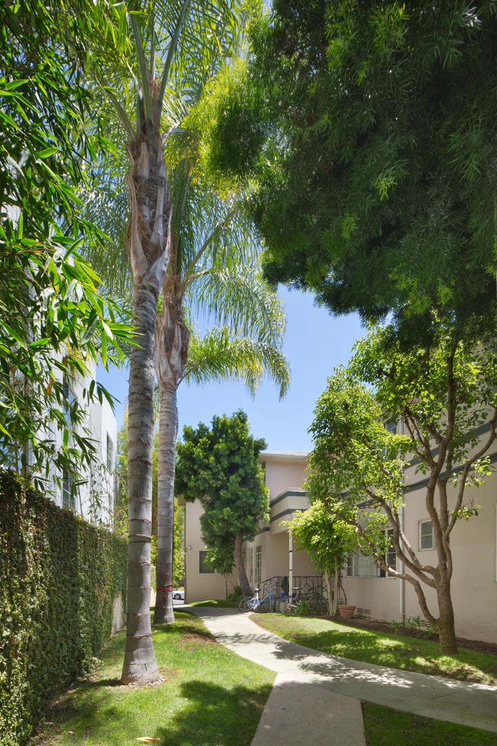 the yard of a house with trees and a sidewalk