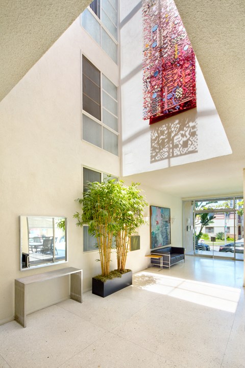 a living room with a large potted plant in the center of the room