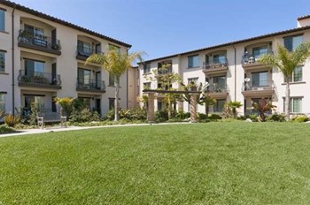 241 North Courtland Street 1-2 Beds Apartment for Rent - Photo Gallery 3