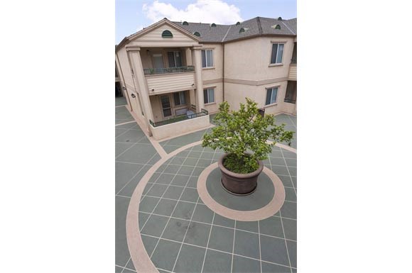a potted tree sits in the middle of a courtyard
