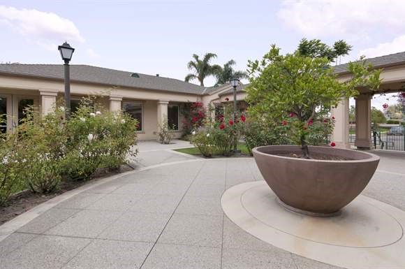 a courtyard in front of a building with a large bowl plant