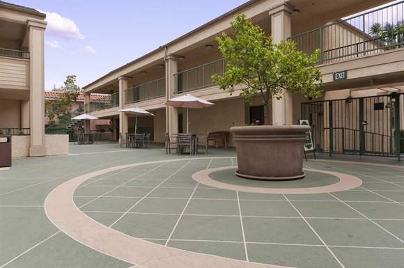 a large pot with a tree in the middle of a building