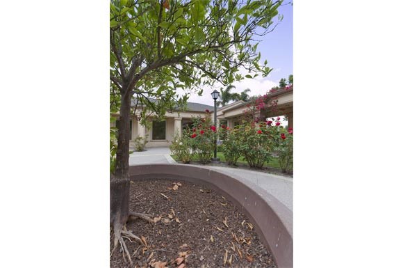 a courtyard with a tree and a house in the background