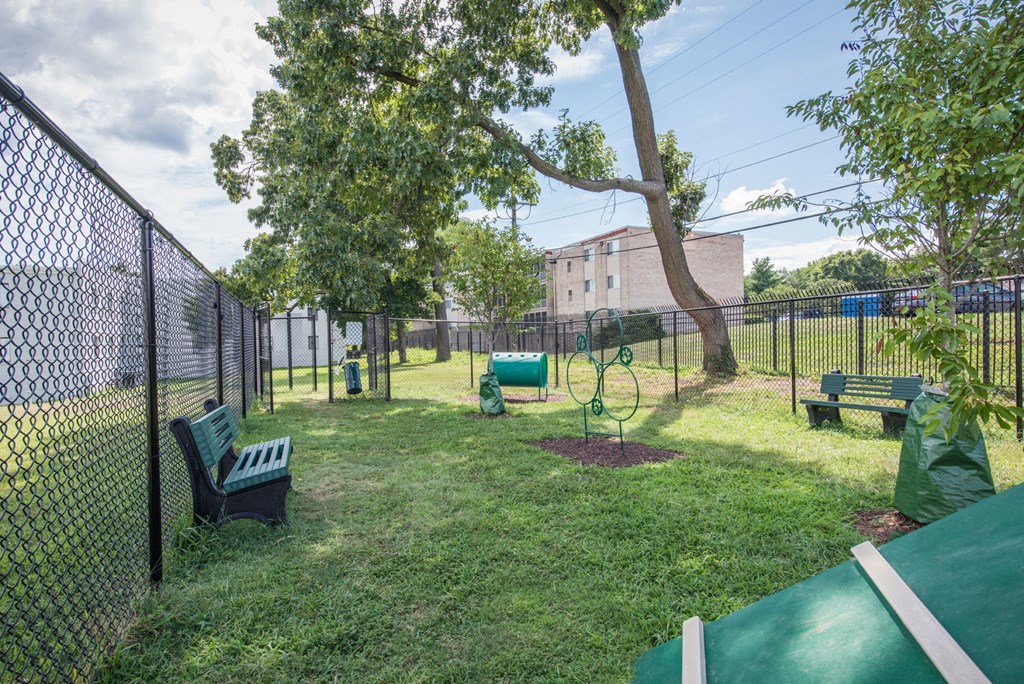 a fenced in dog park with a tree and benches