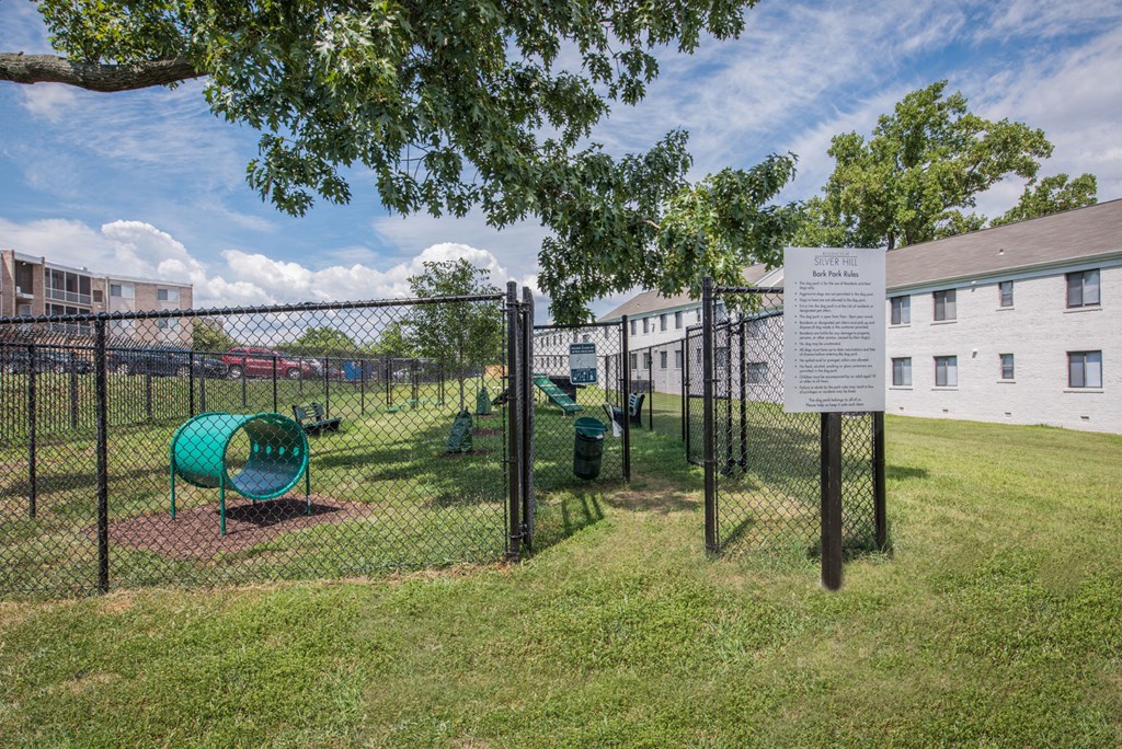 the preserve at ballantyne commons dog park