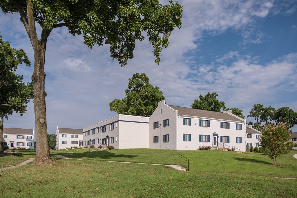 a white building with a tree in front of it