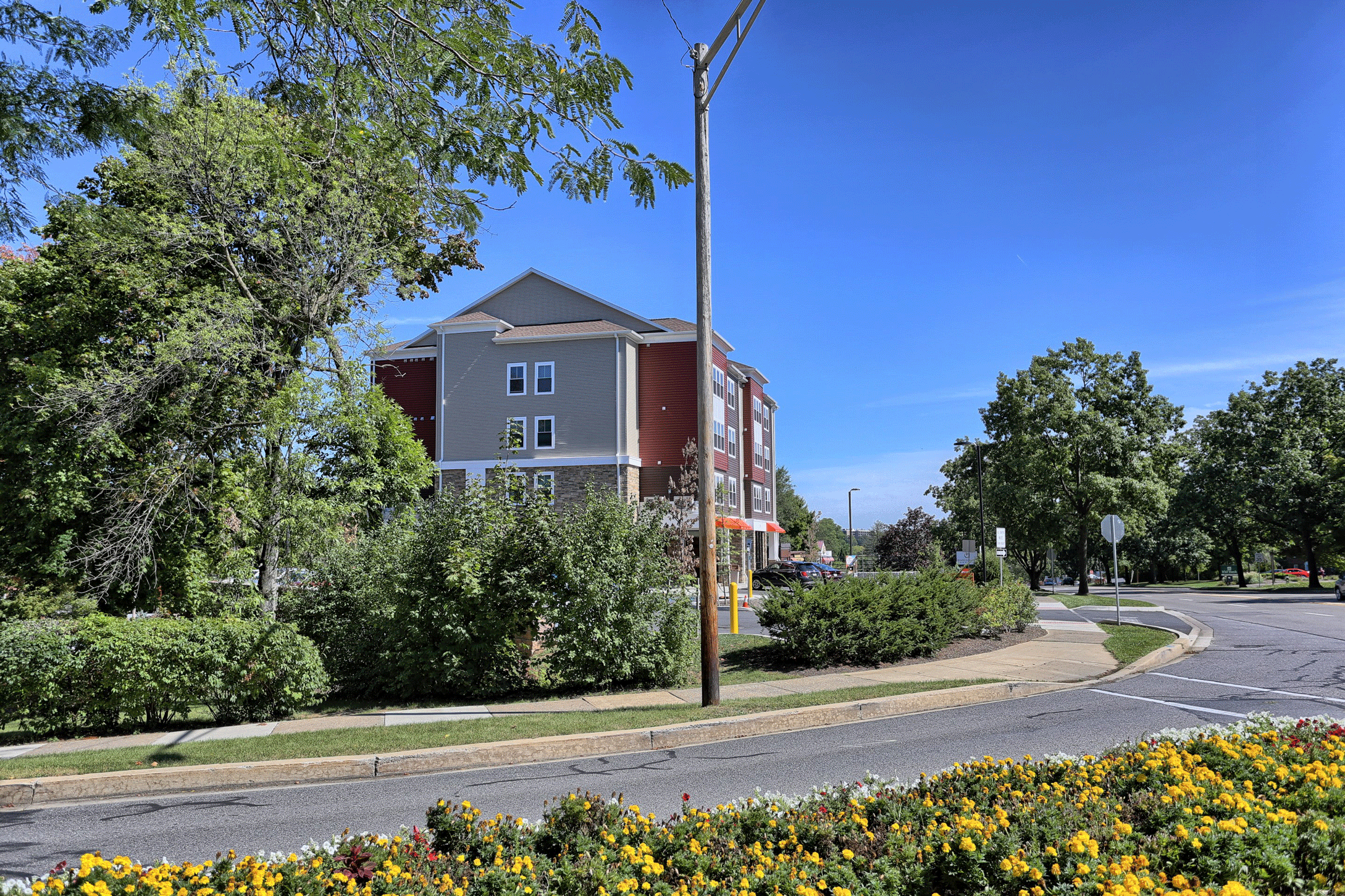 the building where the apartment is located