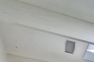 Apartments for Rent in Lakewood WA Photos - Morningtree Park Apartments