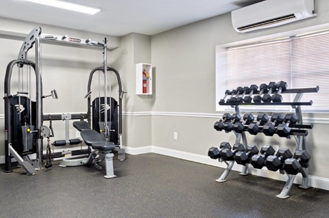 A gym with a weight bench, a squat rack, and a dumbbell rack.