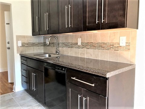 an empty kitchen with black cabinets and a sink