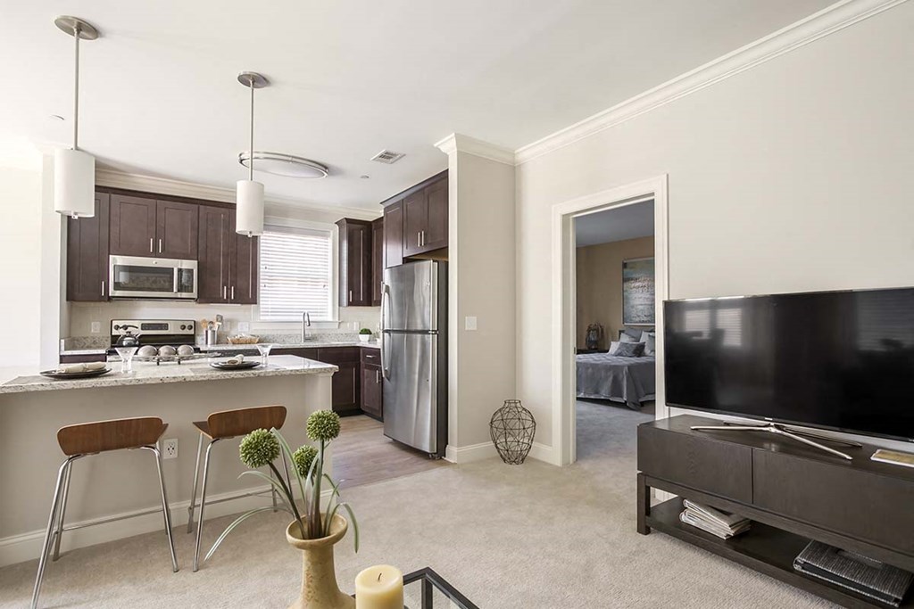 a kitchen and living room with a refrigerator and a tv