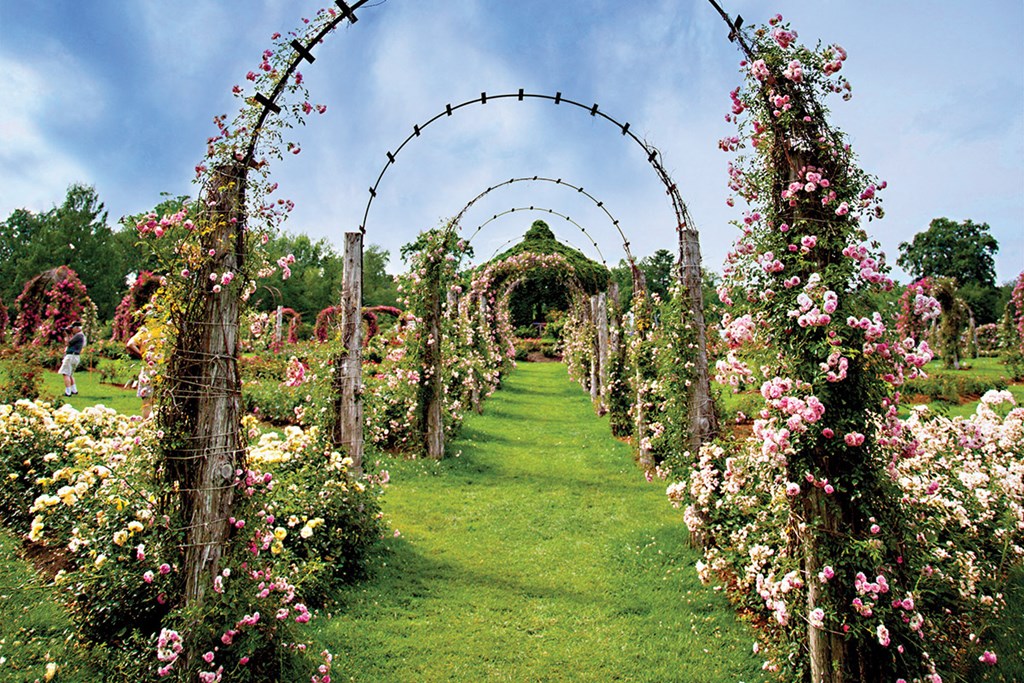 a garden with an arbor with flowers on it