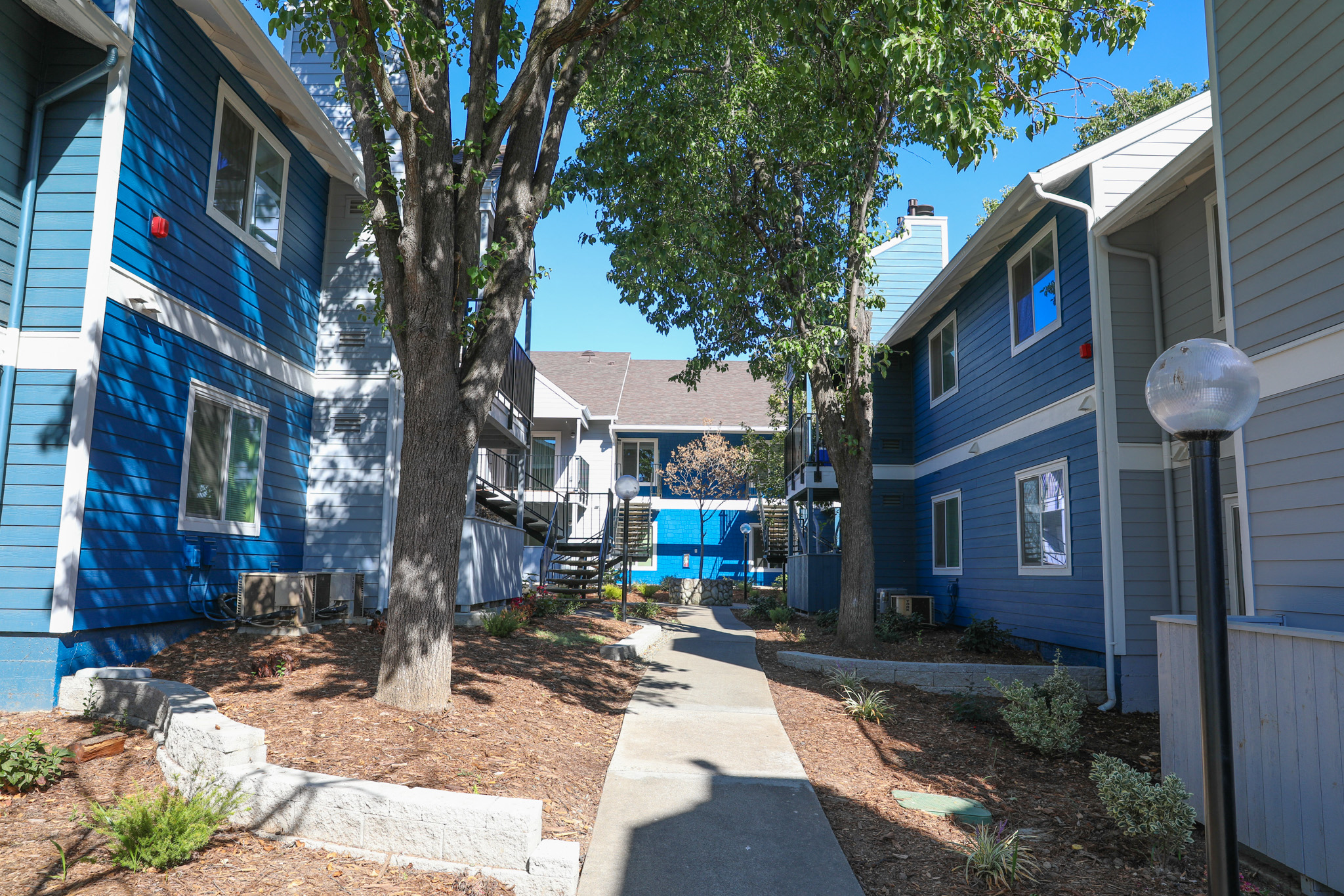 Tranquil Walking Paths