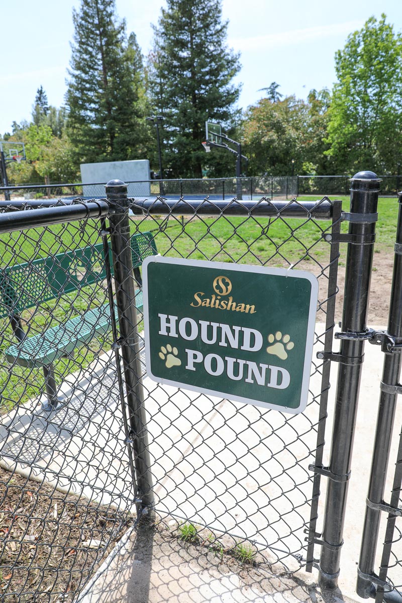 Hound Pound Dog Park