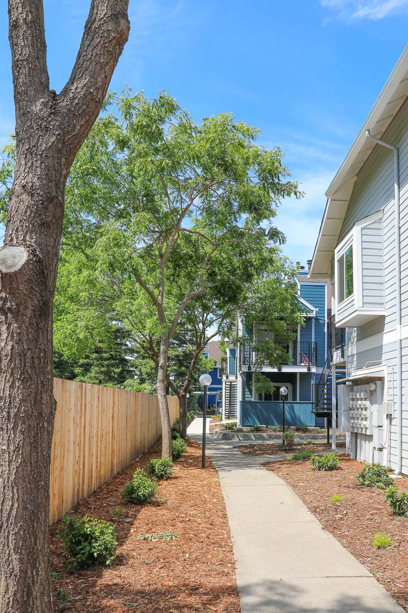 Salishan new landscape
