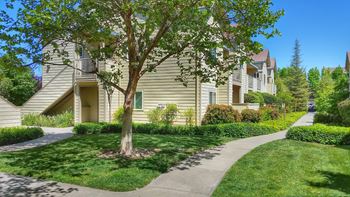 Beautiful Landscaped Views