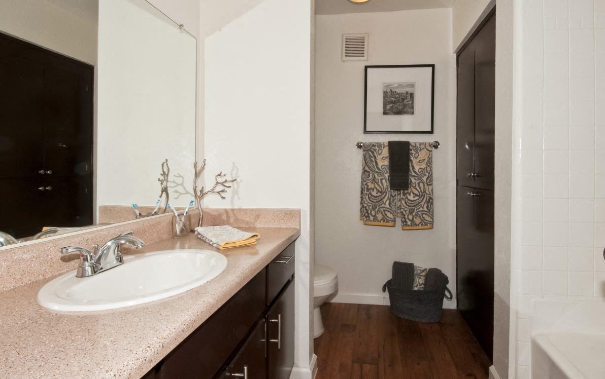 a bathroom with a sink and a toilet