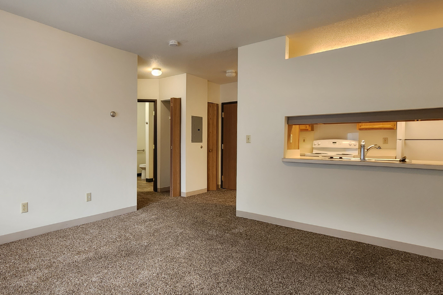 the living room and kitchen of an apartment with a carpeted floor