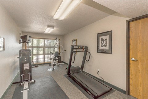 the gym at our apartments has a lot of exercise equipment