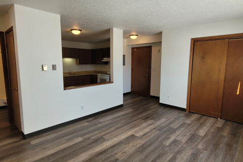the living room and kitchen of an empty apartment
