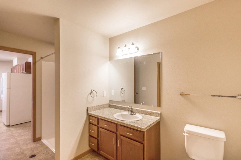 a bathroom with a sink and a toilet and a mirror