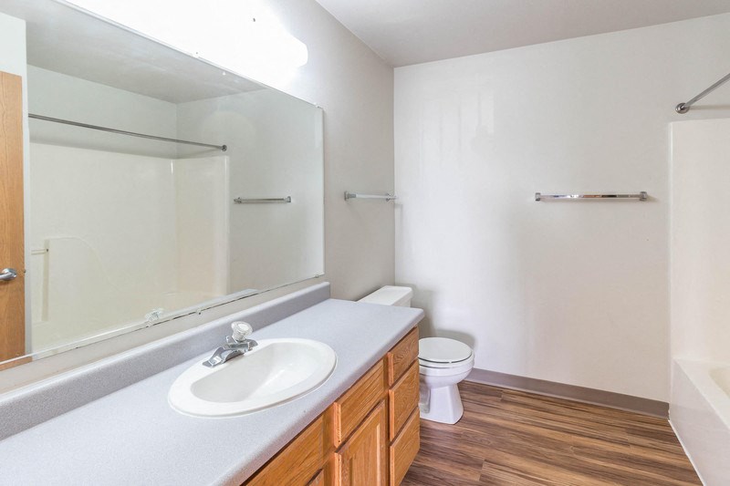 a bathroom with a mirror and a sink and a toilet