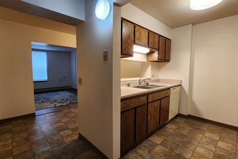 a kitchen with a sink and a window