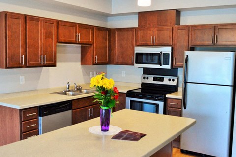 a kitchen with stainless steel appliances and wooden cabinets