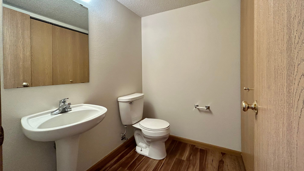 a bathroom with a toilet and a sink and a mirror